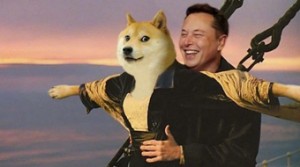 Ảnh của Elon Musk “cười nhạo” loạt tweet của Edward Snowden về SHIB và DOGE