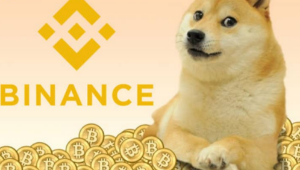 Ảnh của Cộng đồng Dogecoin ‘hú hồn’ khi không thể rút tiền khỏi Binance trong 2 giờ