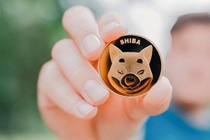 Ảnh của Còn “miếng bánh” nào cho SHIB, DOGE, ELON không?