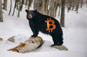Ảnh của Tin vắn Crypto 21/11: Gấu Bitcoin có thể tiếp tục rải máu trên thị trường cùng tin tức Shiba Inu, LAND, Axie Infinity, AVAX và CRO
