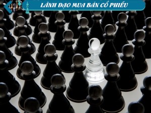 Ảnh của Lãnh đạo mua bán cổ phiếu: "Thoát hàng" tại TLP, HHV, HQC và LDG