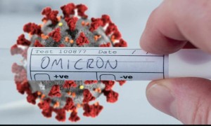 Ảnh của Omicron (OMIC) nhảy vọt hơn 710% nhờ trùng tên với chủng Covid mới