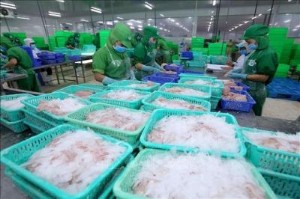 Ảnh của Chủ tịch đăng ký thoái toàn bộ vốn, giá cổ phiếu IDI "nằm sàn"
