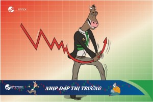 Ảnh của Nhịp đập Thị trường 02/12: Mở cửa tăng nhẹ dù chịu áp lực lớn từ chứng khoán Mỹ