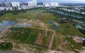 Ảnh của TPHCM không tăng hệ số điều chỉnh giá đất trong năm 2022