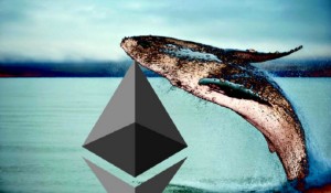 Ảnh của Cá voi Ethereum mua liền tay 24.000 ETH ($100 triệu) và chuyển vào ví cá nhân