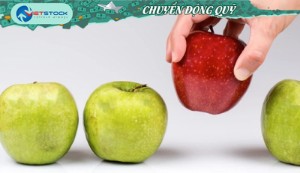 Ảnh của Giao dịch quỹ đầu tư: Chiều mua yếu thế
