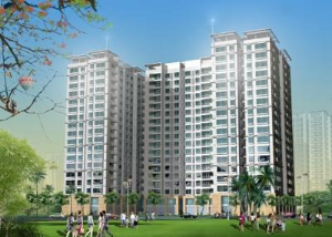 Ảnh của Một cá nhân trở thành cổ đông lớn của PTL