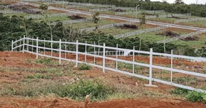 Ảnh của Bao giờ hết tràn lan phân lô?