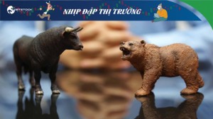 Ảnh của Nhịp đập Thị trường 20/12: Nhà đầu tư đang chờ đợi tín hiệu mới từ thị trường