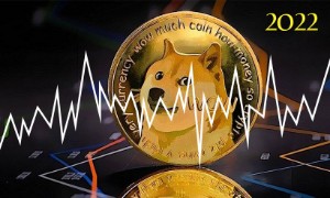 Ảnh của Dogecoin Foundation tiết lộ kế hoạch lớn dành cho DOGE vào năm 2022