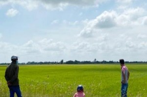 Ảnh của Sốt đất ở Sóc Trăng