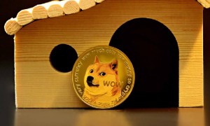 Ảnh của DOGE có thể quay lại top 10 sau roadmap mới không?