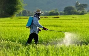 Ảnh của Một doanh nghiệp hóa chất sắp chuyển từ UPCoM lên sàn HNX