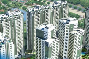Ảnh của Chứng khoán Quốc Gia đã gom 3.4 triệu cp SAM