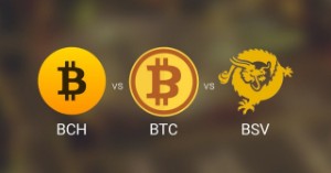 Ảnh của BCH và BSV bị Bitcoin ‘lấn lướt’ trong suốt cả năm 2021