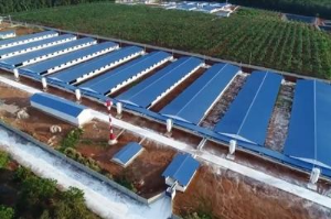 Ảnh của Siba Holdings trở thành cổ đông lớn của BAF