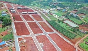 Ảnh của Lâm Đồng yêu cầu tạm dừng 2 dự án cạo trọc đồi làm biệt thự