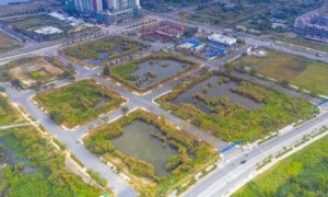 Ảnh của Vụ 'bỏ cọc' đấu giá đất ở Thủ Thiêm: Nhìn từ góc độ pháp lý và giải pháp đặt ra