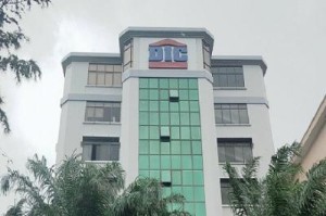 Ảnh của Him Lam bán 2.8 triệu cp DIG ngay vùng đỉnh