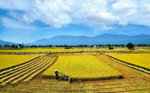 Ảnh của Chủ tịch TAR thoái hết vốn