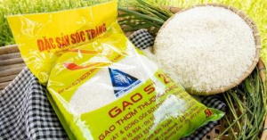 Ảnh của Giá gạo Việt Nam xuất vào EU đạt 781 USD/tấn, tăng 20,3%