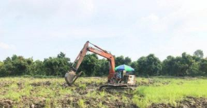 Ảnh của Đồng Tháp và Long An được chuyển mục đích sử dụng đất lúa diện tích lớn