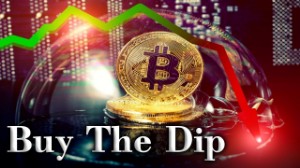 Ảnh của Tin vắn Crypto 30/1: Cá voi Bitcoin bắt đầu tích lũy trở lại cùng tin tức SHIB, DOGE, BAYC, Robinhood