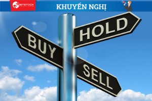 Ảnh của Liệu có khả quan với PNJ, VHC và THG?