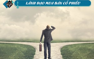 Ảnh của Lãnh đạo mua bán cổ phiếu: Các giao dịch lớn tại HNG, LUT, EVS và SSB