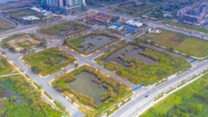 Ảnh của Lợi dụng đấu giá đất để trục lợi: Cần bịt “lỗ hổng” pháp lý