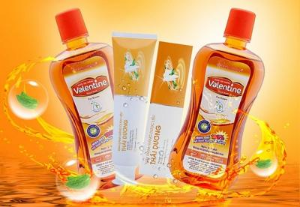 Ảnh của Giá cổ phiếu SJF lao dốc, Tổng Giám đốc mua vào 1 triệu cp