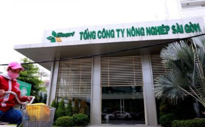 Ảnh của TP.HCM: Tổng giám đốc SAGRI muốn trả lại 16 khu đất 'càng sớm càng tốt'
