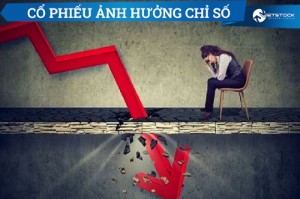 Ảnh của Nhóm phân bón trở thành trụ đỡ cho VN-Index trong tuần qua