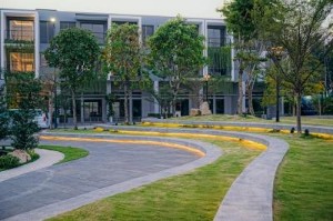 Ảnh của Tập đoàn An Gia chính thức bàn giao khu biệt lập The Standard Bình Dương