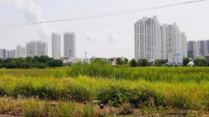 Ảnh của Sửa đổi 4 Nghị định về thi hành Luật Đất đai để tháo gỡ vướng mắc bất cập