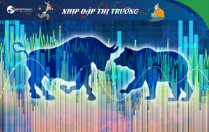 Ảnh của Nhịp đập Thị trường 15/03: Nhóm dầu khí giảm mạnh
