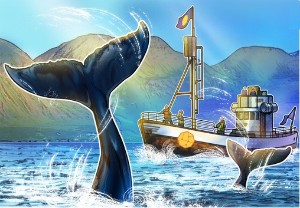 Ảnh của Dữ liệu on-chain cho thấy cá voi Bitcoin đang tích cực bán