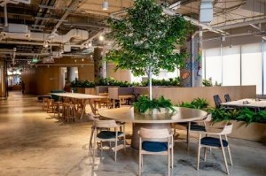 Ảnh của An Gia mạnh tay đầu tư Café & Co-working Space rộng 1,000 m2 cho cư dân Westgate