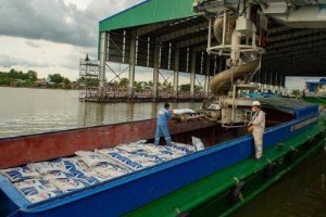 Ảnh của SSI Research: Cơ hội ngắn hạn với ngành phân bón khi giá ure có thể đạt đỉnh trong tháng 3