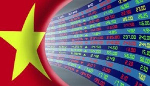 Ảnh của Vietnam Holding: Lãi suất thấp duy trì hết 2022, ưu tiên phân bổ vốn vào cổ phiếu nhỏ