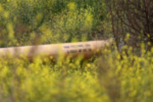 Picture of U.S. Senator McConnell asks FERC to kill climate rule for pipelines