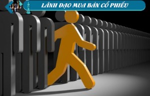 Ảnh của Lãnh đạo mua bán cổ phiếu: Các giao dịch lớn tại VFS, DXG, CLX và MIG