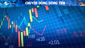 Ảnh của Cổ phiếu nào hút tiền trong tuần thanh khoản hồi phục?