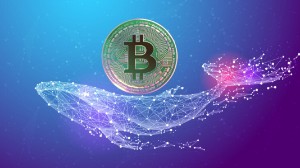 Ảnh của Bitcoin ngủ đông hơn 7 năm bất ngờ di chuyển ngay trước khi giá BTC giảm về $45.000