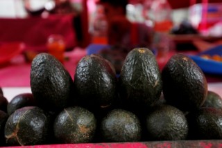 WTO panel largely backs Mexico in row with Costa Rica over avocados
