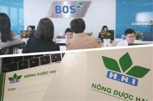 Ảnh của Chứng khoán BOS bán giải chấp cổ phiếu HAI