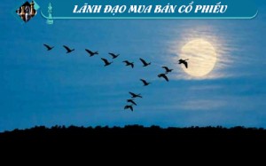 Ảnh của Lãnh đạo mua bán cổ phiếu: Tiếp tục thoát hàng!