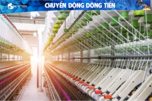 Ảnh của Nhóm thủy sản và dệt may hút tiền