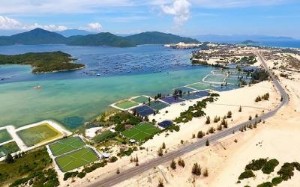Ảnh của Đề xuất loạt cơ chế, chính sách đặc thù cho khu kinh tế Vân Phong